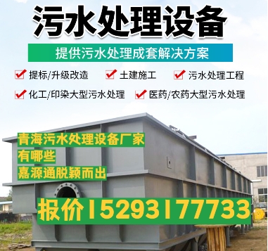 岭口镇养殖污水处理设备